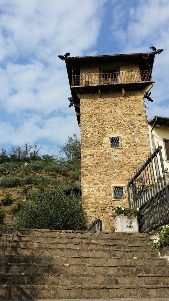 Azienda agricola Le Corne (Grumello del Monte, Bergamo)