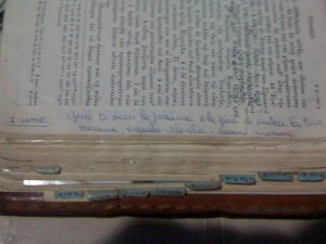 27-frase-di-santina-bibbia-p-453