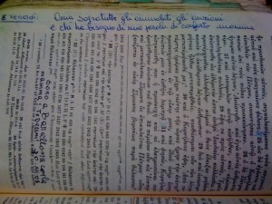 31-frase-di-santina-bibbia-p-456