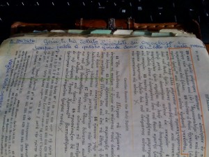 32-frase-di-santina-bibbia-p-458