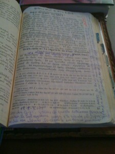 43-frase-di-santina-su-bibbia-p-711 