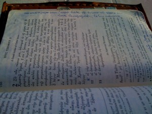 46-frase-di-santina-su-bibbia-p-733 