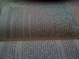 47-frase-di-santina-su-734 