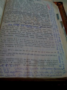 frase-di-mamma-da-scattare-nuovamnete 